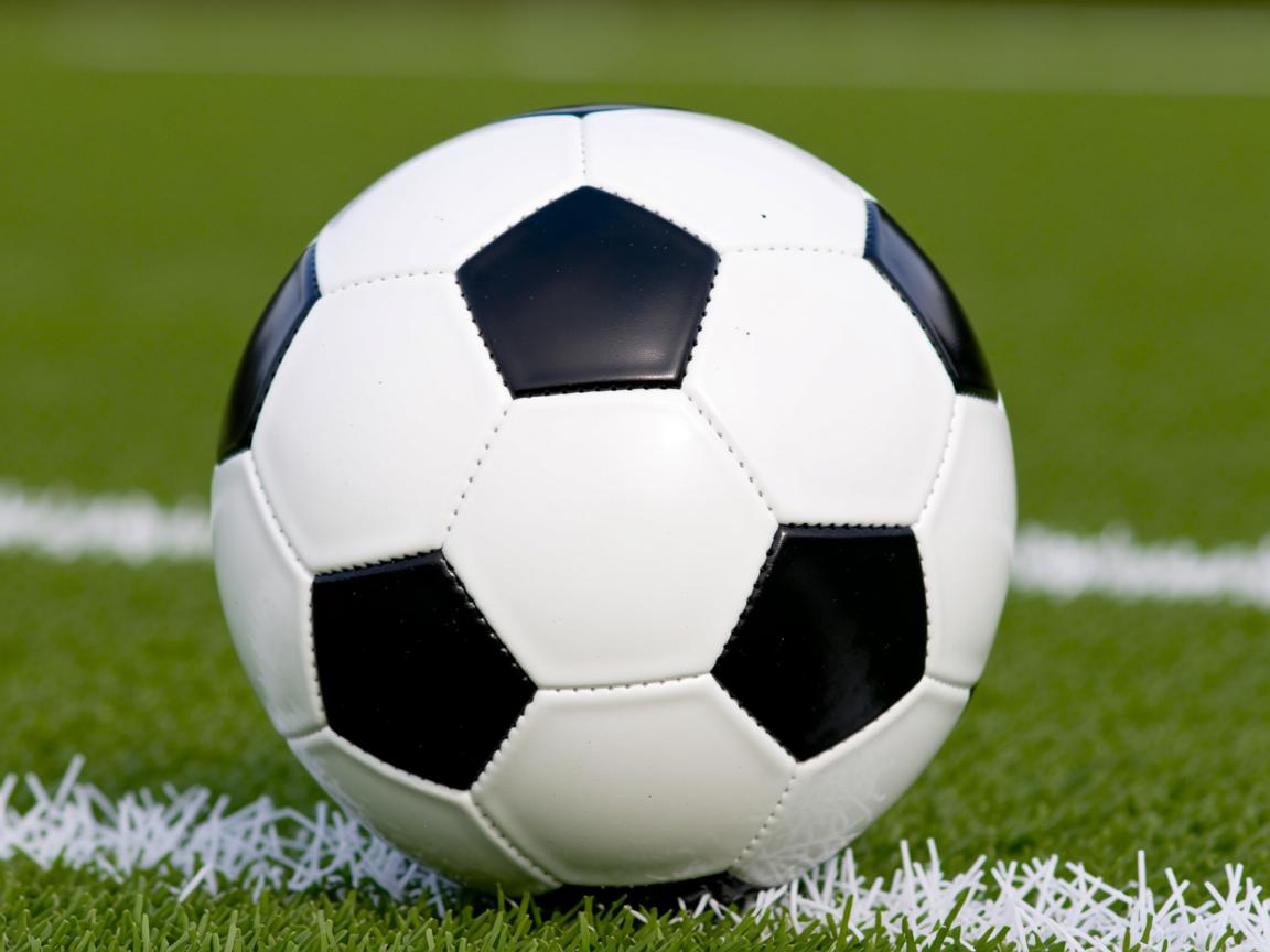 爱游戏体育娱乐-国家男篮强调临场执行力减少失误率，国家男篮强调临场执行力减少失误率的措施  第3张