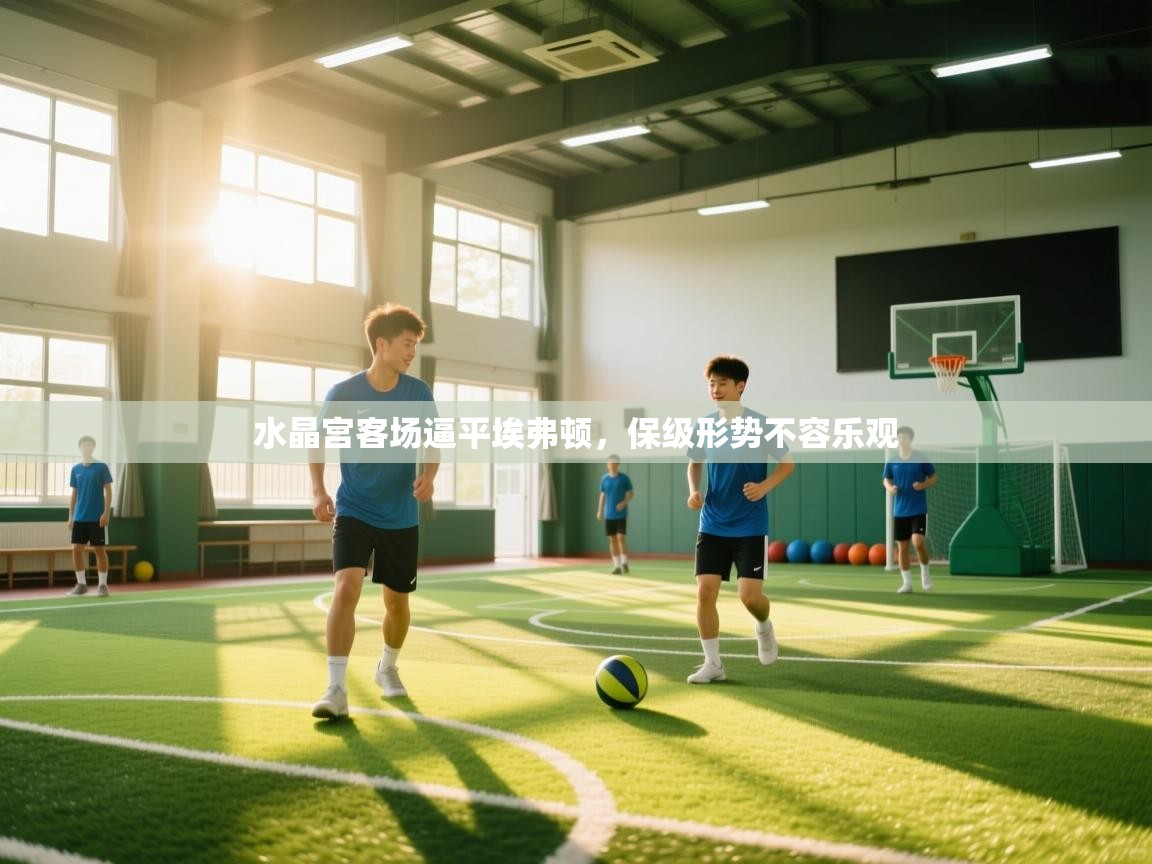 水晶宫客场逼平埃弗顿，保级形势不容乐观  第2张