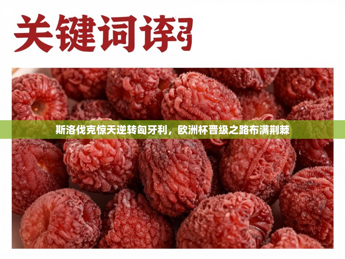 斯洛伐克惊天逆转匈牙利，欧洲杯晋级之路布满荆棘  第1张