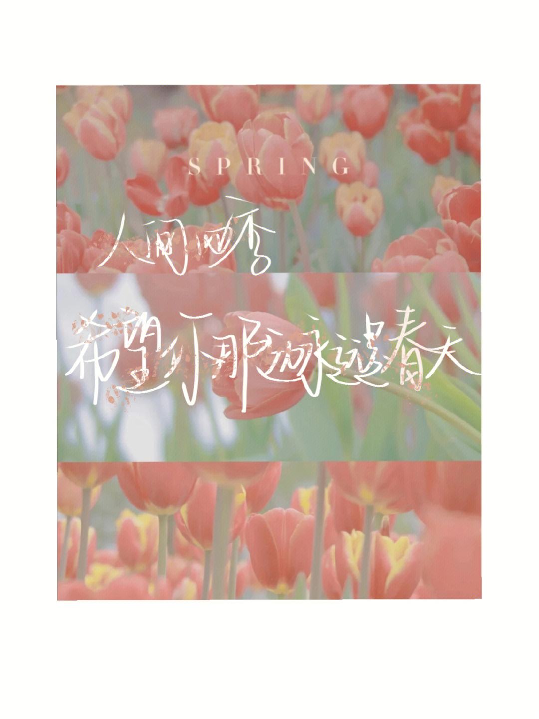 包含向阳而生！球队撂下翻盘，昂然前进的词条