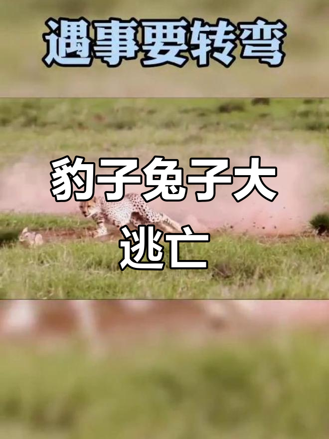 关于黄蜂遭遇惊险逆转，老将生死关键时刻救场的信息